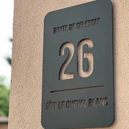Au Cheval Blanc - Familial 6p Parking Prive Gratuit- 15 Min Centre *