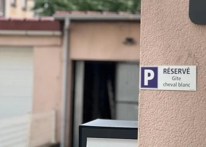 Au Cheval Blanc - Familial 6p Parking Prive Proche Centre Apartment