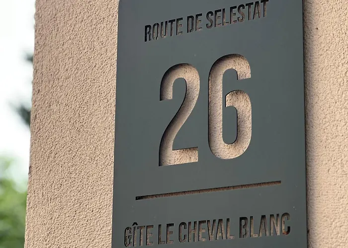 Au Cheval Blanc - Familial 6p Parking Prive Proche Centre *