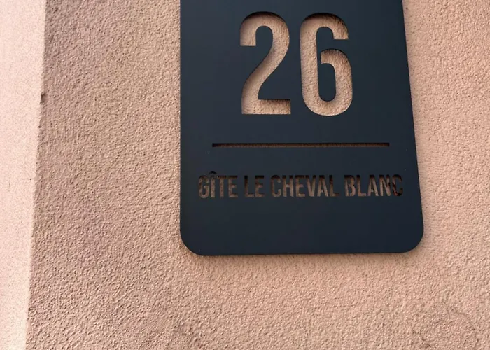 Au Cheval Blanc - Familial 6p Parking Prive Proche Centre * Colmar